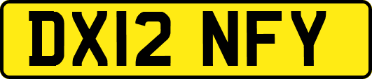 DX12NFY
