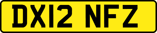 DX12NFZ
