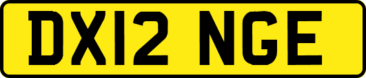 DX12NGE