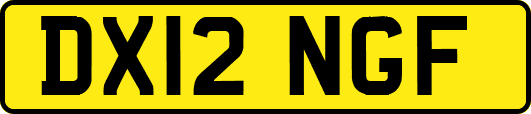 DX12NGF