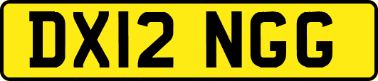 DX12NGG
