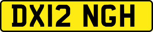 DX12NGH