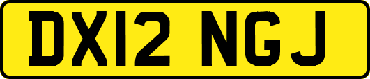 DX12NGJ
