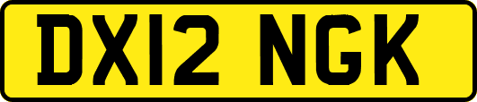 DX12NGK