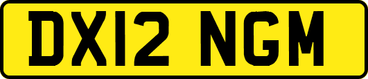 DX12NGM
