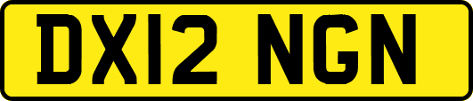 DX12NGN