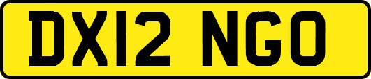 DX12NGO