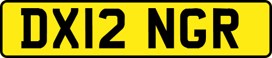 DX12NGR