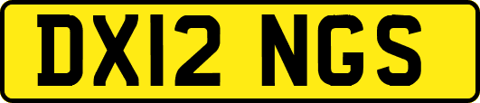 DX12NGS