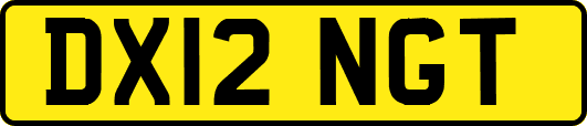 DX12NGT