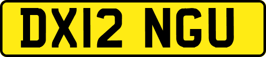 DX12NGU