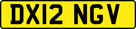 DX12NGV