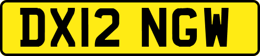 DX12NGW