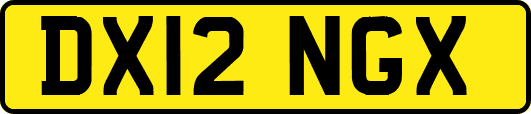 DX12NGX