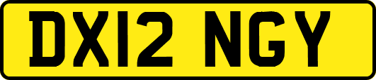 DX12NGY