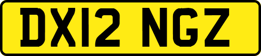 DX12NGZ