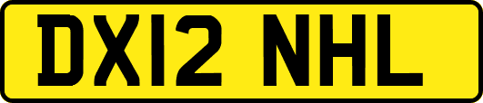 DX12NHL