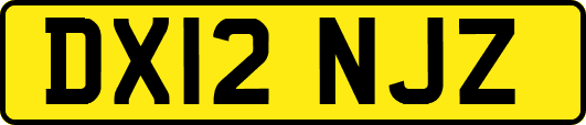 DX12NJZ