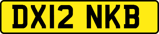 DX12NKB