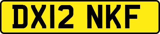 DX12NKF