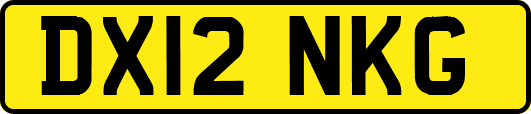 DX12NKG