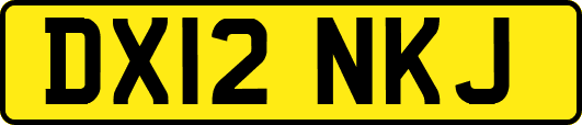 DX12NKJ
