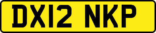 DX12NKP