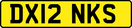 DX12NKS
