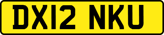 DX12NKU