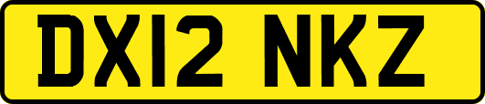 DX12NKZ