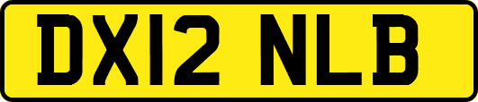 DX12NLB