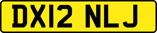 DX12NLJ