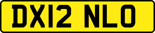 DX12NLO