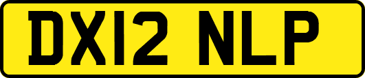 DX12NLP