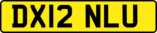DX12NLU