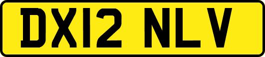 DX12NLV