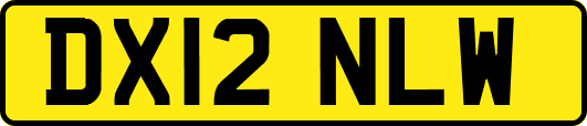 DX12NLW