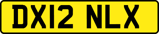 DX12NLX