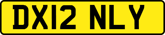 DX12NLY