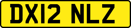 DX12NLZ