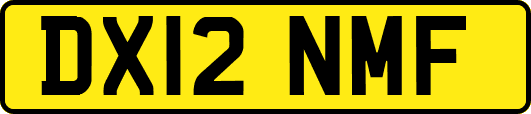 DX12NMF