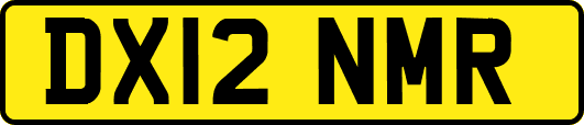 DX12NMR