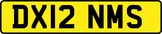 DX12NMS