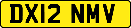 DX12NMV