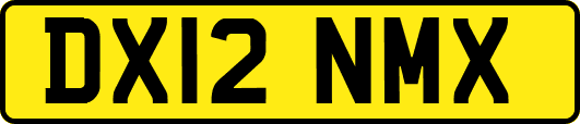 DX12NMX