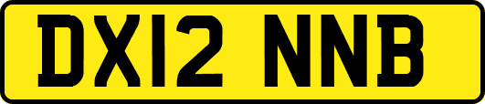 DX12NNB