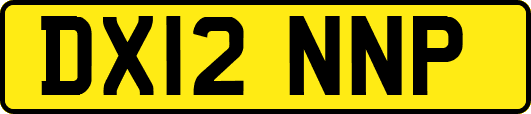 DX12NNP