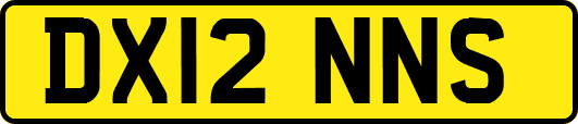 DX12NNS