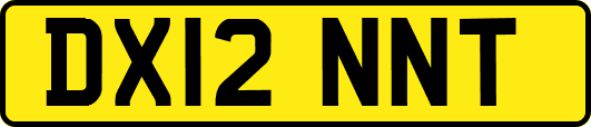 DX12NNT