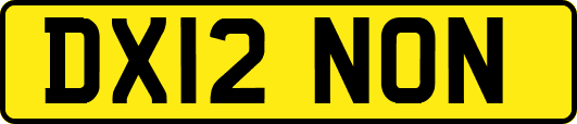 DX12NON